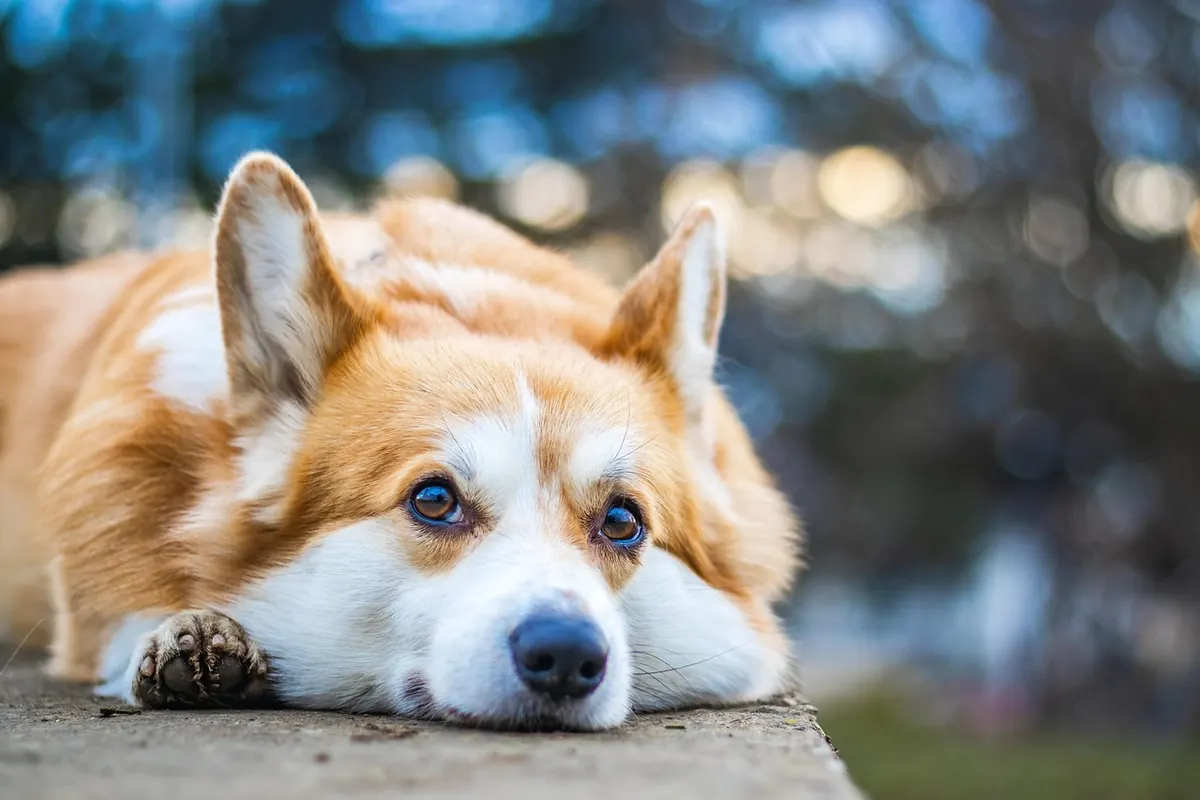 How to Help a Grieving Friend: 10 Practical Dos and Don'ts